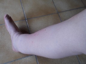 avis Haverland Donatienne